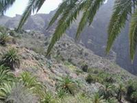 Masca Beauty Spot Tenerife