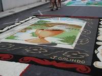 Puerto de la Cruz - Sand Carpets