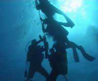 diving in Tenerife