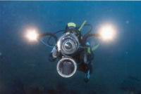 Underwater photograph tenerife, conjuction ocean eye