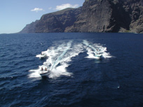 Video of Boats at Los Gigantes